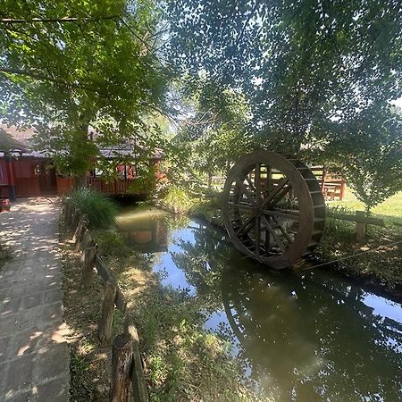 Kumova Vodenica Villa Markova Crkva Dış mekan fotoğraf